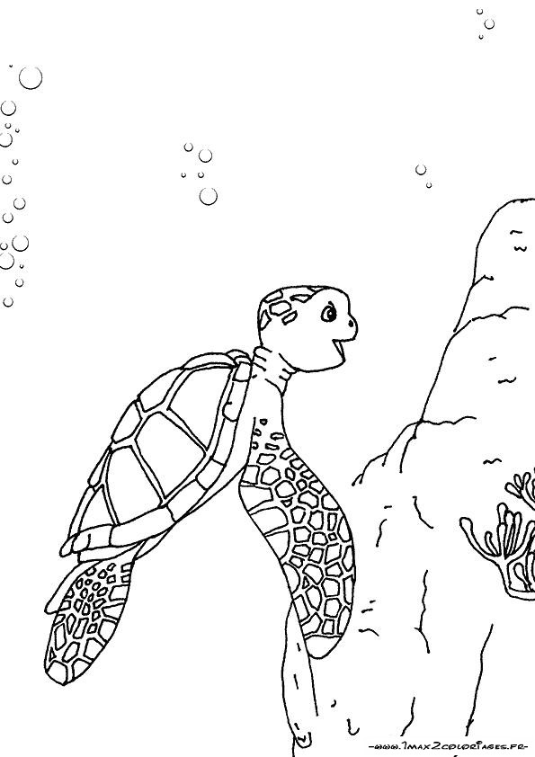 coloriage le voyage extraordinaire de samy 5